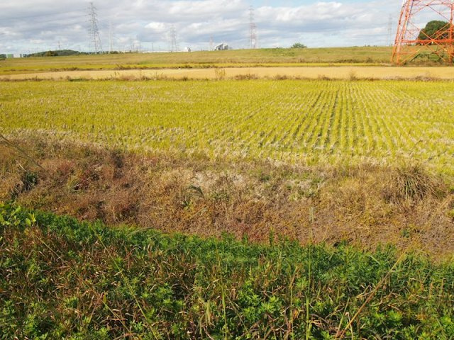 刈谷市今川町曽根の売地