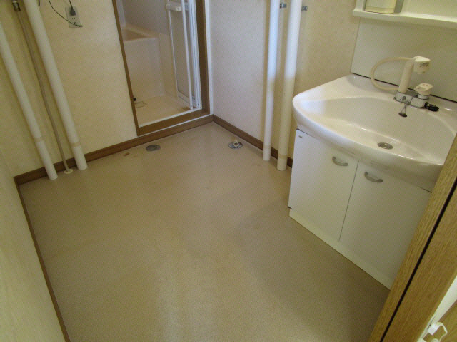 コーポディンの洗面所