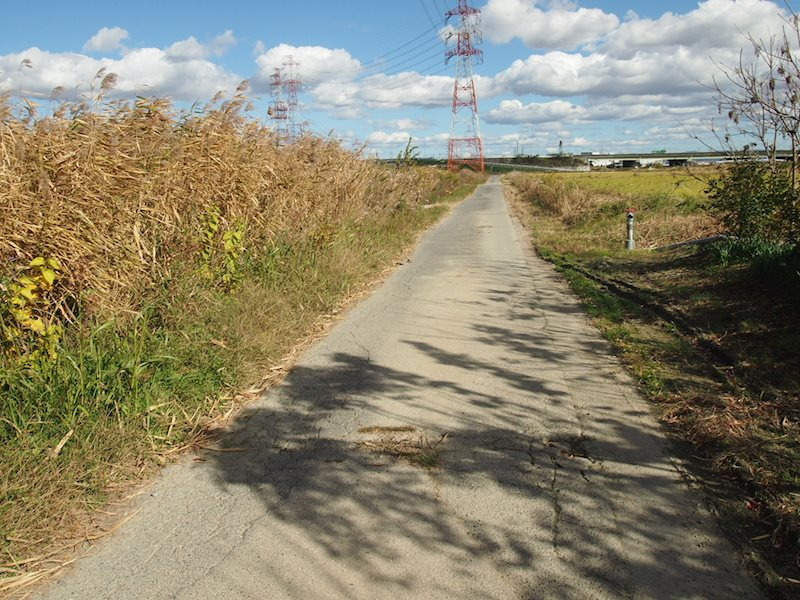 刈谷市泉田町森裾の売地のその他