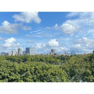 パーク・コート大濠の展望