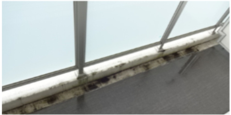 スプレスター錦糸町のバルコニー