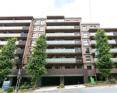 常盤松ハウスの画像