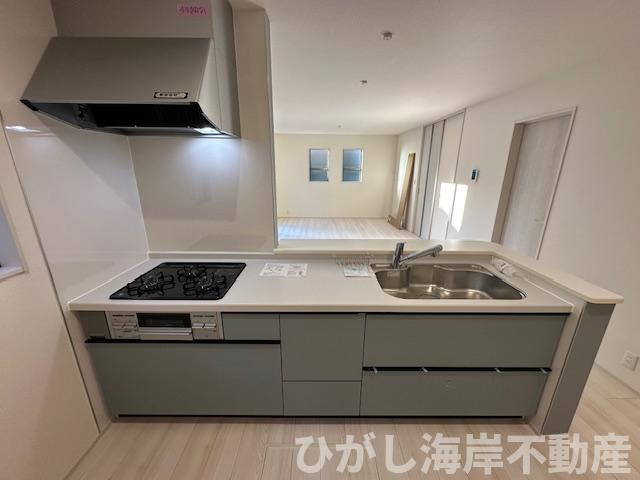 藤沢市辻堂東海岸2丁目　 新築戸建 　全2棟のキッチン|システムキッチン