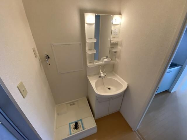 リッツハウスⅢの洗面所