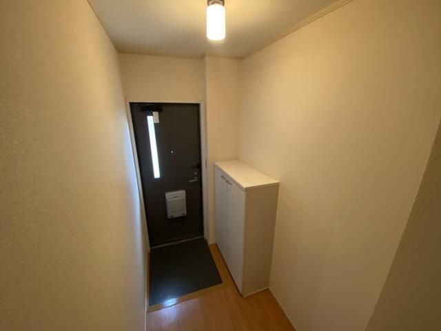 リッツハウスⅢの玄関