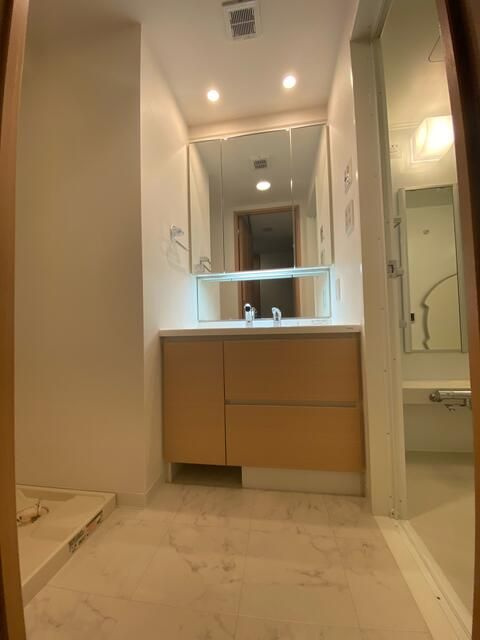 ドゥーエ東十条の洗面所