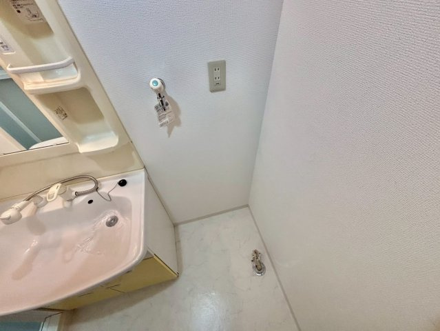 メゾン・サンベリーナの洗面所