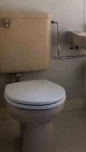 ハイツ小板橋のトイレ