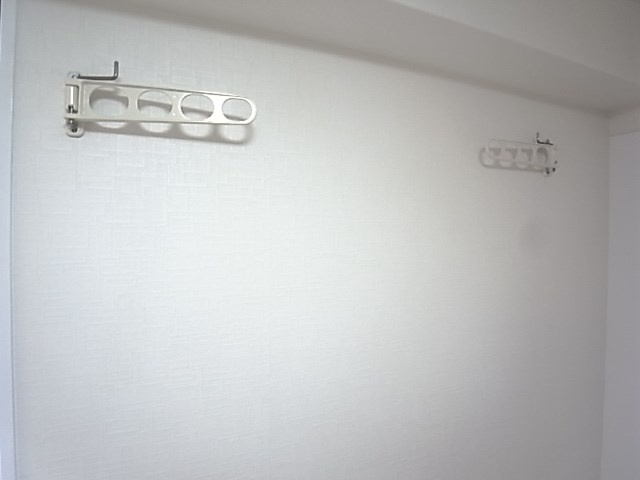 カサ水木のその他