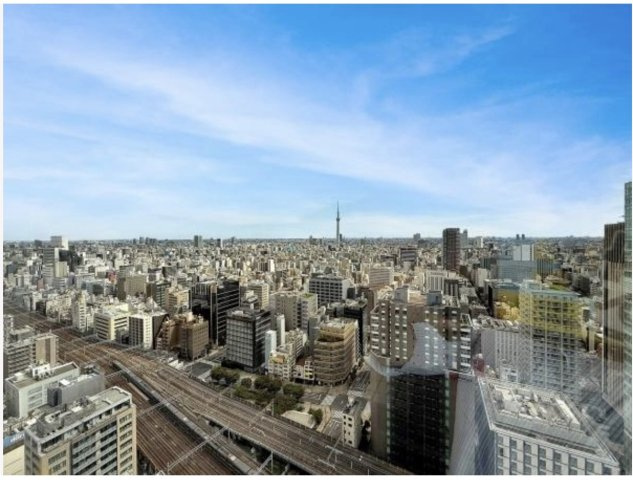 ★仲介手数料無料★TOKYO TIMES TOWER (先着順で購入できる、スカイツリー富士山を望めるレジデンス）の展望