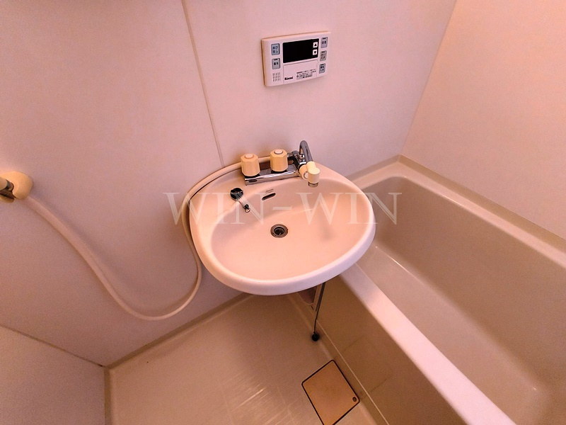 ファミール桜園 A棟の洗面所