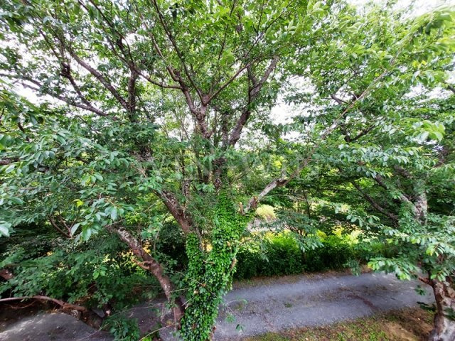 ファミール桜園 A棟の浴室