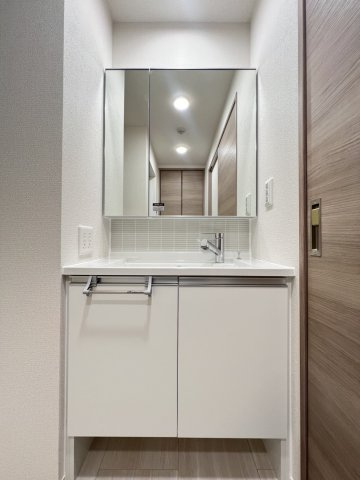 ラ　メゾン林崎の洗面所