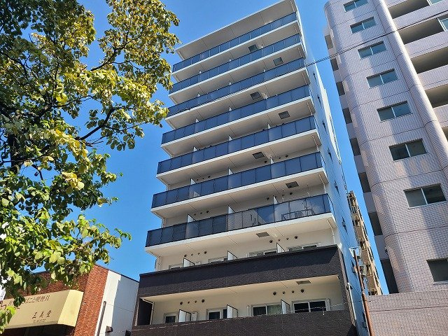 Noir et Blanc 並木