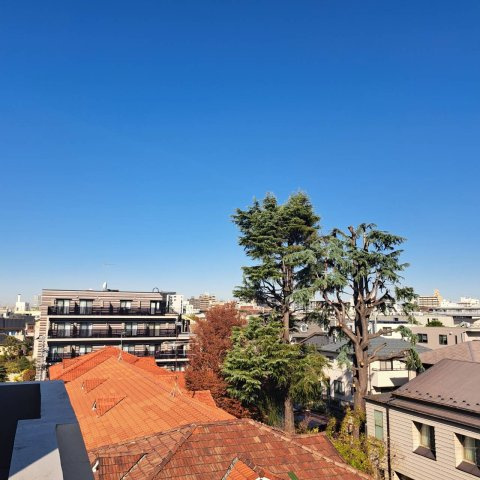 ティエドゥール千石の展望