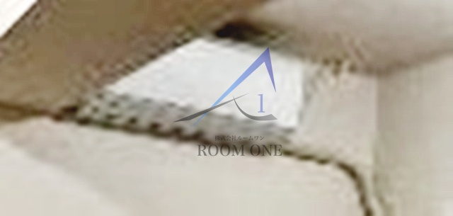 ＬＯＵＩＳのその他