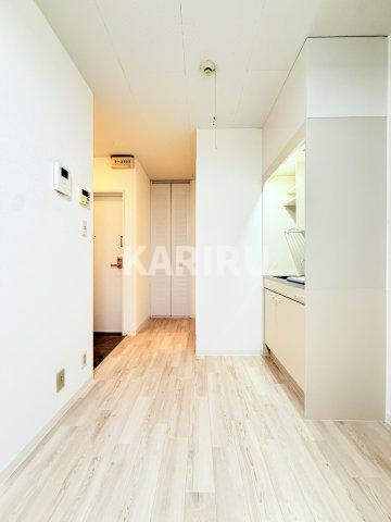 アネックスマンションの居間・リビング