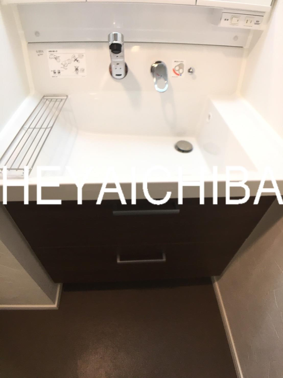 ハーモニーレジデンス浅草＃002の設備|シャワー付き洗面台