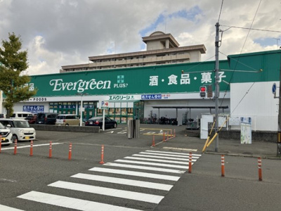 【周辺】 | ピオーネ荘