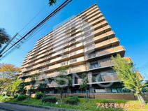 四季彩都いちょう館B棟の画像