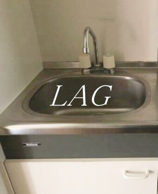 【その他】 | ベルトゥリーハイツ | シンクです。