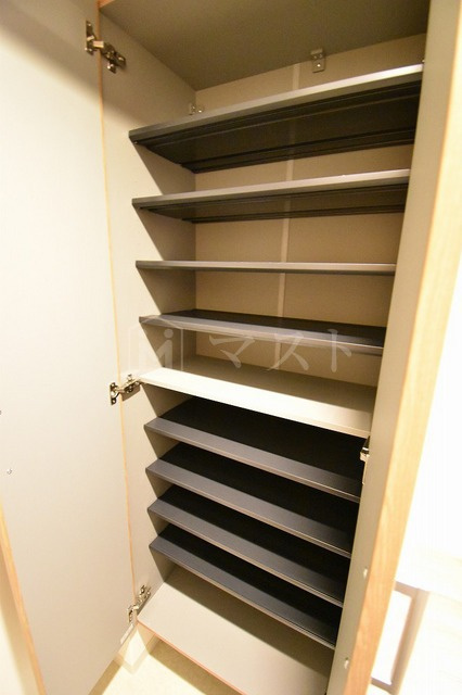 大阪市西区川口３丁目の賃貸マンションの玄関