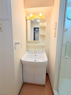 アクセス第7ビルの洗面所