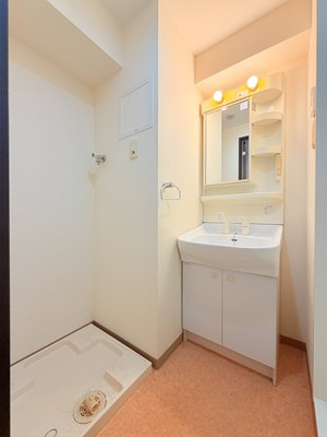 アクセス第7ビルの洗面所