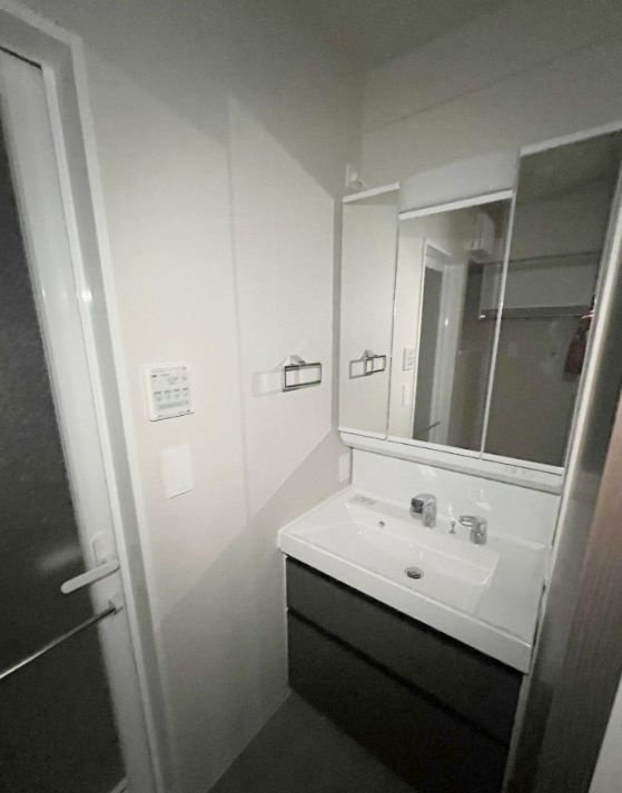 ヴェルデ若葉の独立洗面台|※別室参考画像