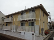 ヒラソルの画像