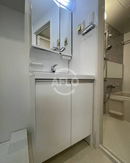 【独立洗面台】 | Splendide NAMBAⅢ　　大国小学校区 | スプランディッド難波Ⅲ　独立洗面台