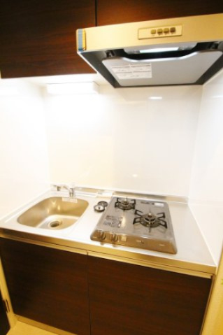 アクティ氷川台のキッチン|使いやすいキッチンです