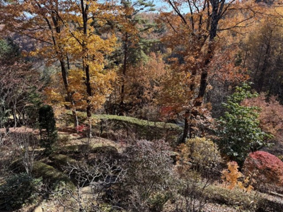 【庭】 | 佐久高原美笹別荘地Ｇ－１