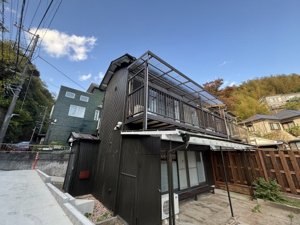 キヌガサテラスの画像