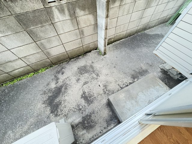 みどりコーポの庭