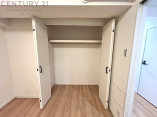 衣類やアクセサリー、小物類の収納が便利で整理整頓がしやすく、部屋の美観を保ちつつ、スペースを最大限に活用できます。衣服のしわやダメージを防ぎ、長持ちさせることができます。