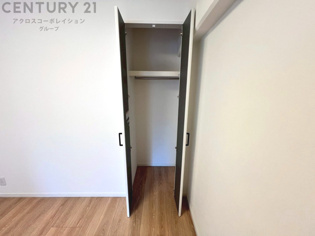 衣類やアクセサリー、小物類の収納が便利で整理整頓がしやすく、部屋の美観を保ちつつ、スペースを最大限に活用できます。衣服のしわやダメージを防ぎ、長持ちさせることができます。