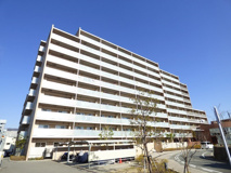 神戸市東灘区深江南町１丁目のマンションの画像