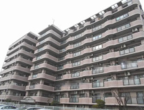 エクセル新金岡の画像