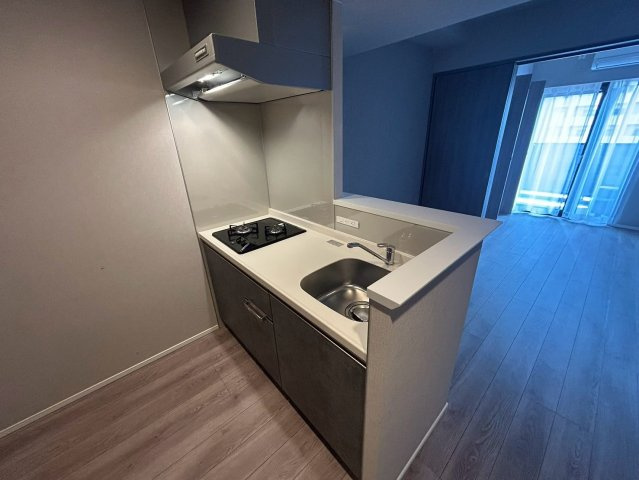 RJRプレシア南堀江のキッチン