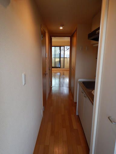 セルピエンテⅡのその他