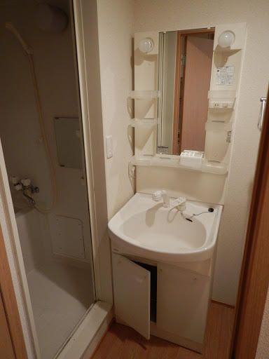 セルピエンテⅡの洗面所