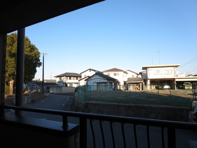 ニューフラワーⅡの展望