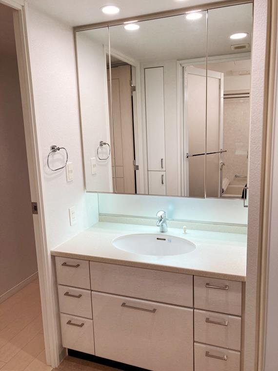 パークホームズ隅田桜橋の洗面所