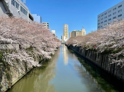 【その他】 | レジディア中目黒3