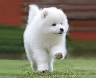 【その他】 | コンフォリア芝浦バウハウス