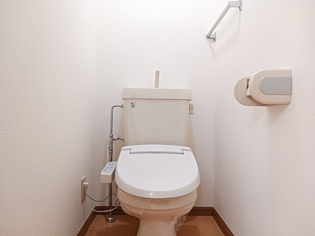 メゾン・アヴェニールＡのトイレ|落ち着いたトイレです