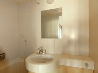 【洗面所】 | ロッシュブラウン池袋 | ロッシュブラウン池袋　豊島区池袋本町