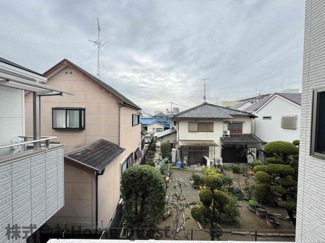 【展望】 | 1er Camellia