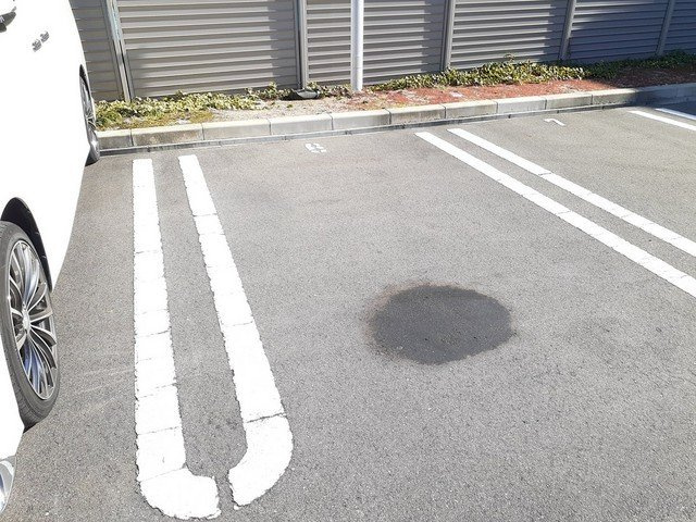アヴニールのその他